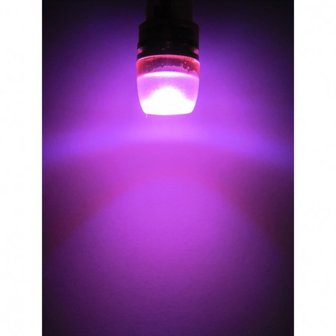 (new) W5W T10 1W highpower glow-head LED paars